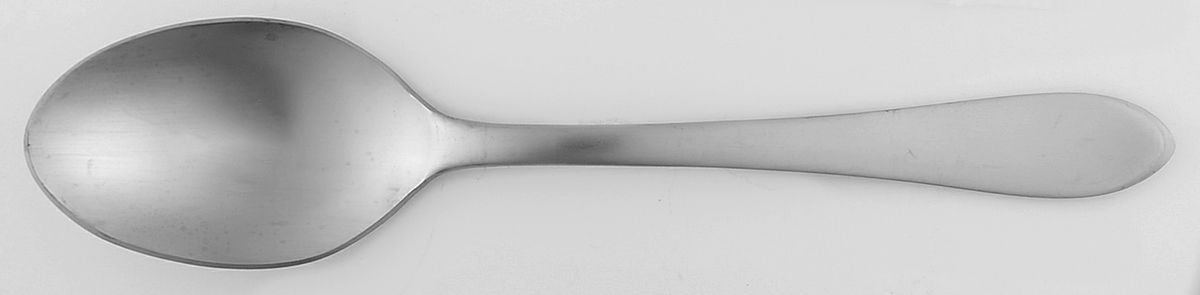 Ginger Satin (Stainless) Tablespoon (Serving Spoon) by Food Network-1