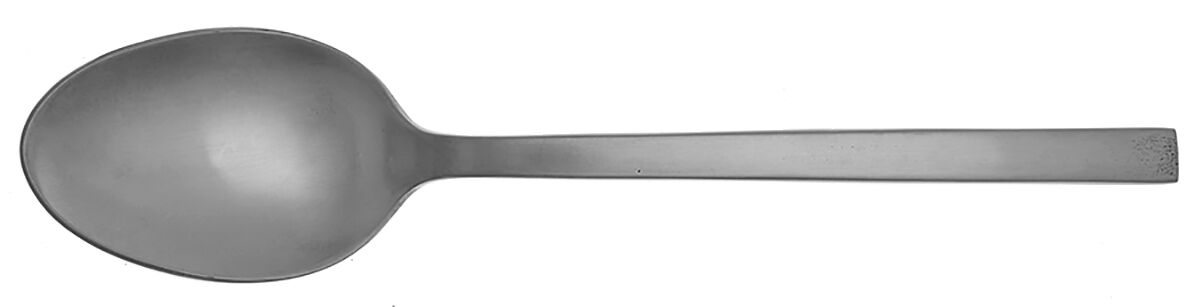 Arezzo Brushed (Stainless) Solid Serving Spoon by Fortessa-1