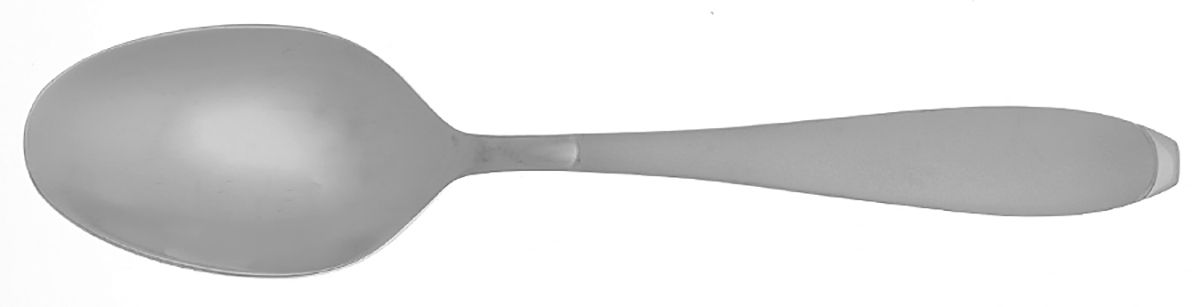 Eucalyptus (Stainless) Tablespoon (Serving Spoon) by Food Network-1