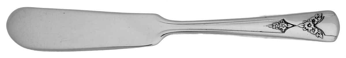 Gailstyn (Silverplate) Flat Handle Butter Spreader by Gailstyn-1