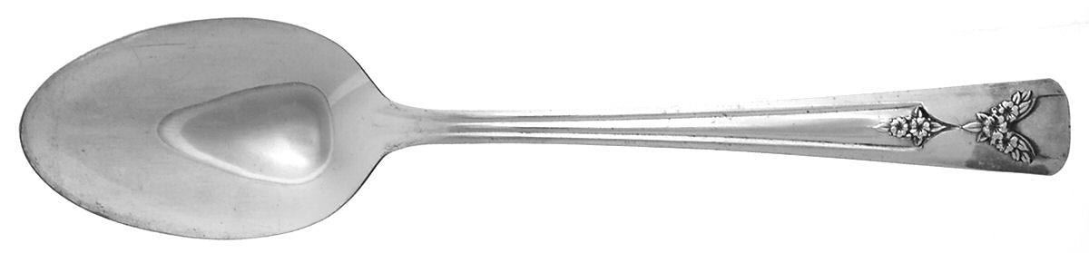 Gailstyn (Silverplate) Place/Oval Soup Spoon by Gailstyn-1