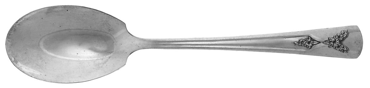 Gailstyn (Silverplate) Sugar Spoon by Gailstyn-1