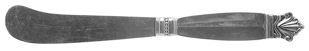 Acanthus (Sterling, 1917) Hollow Handle Paddle Butter Spreader (Solid) by Georg Jensen (Denmark)-1
