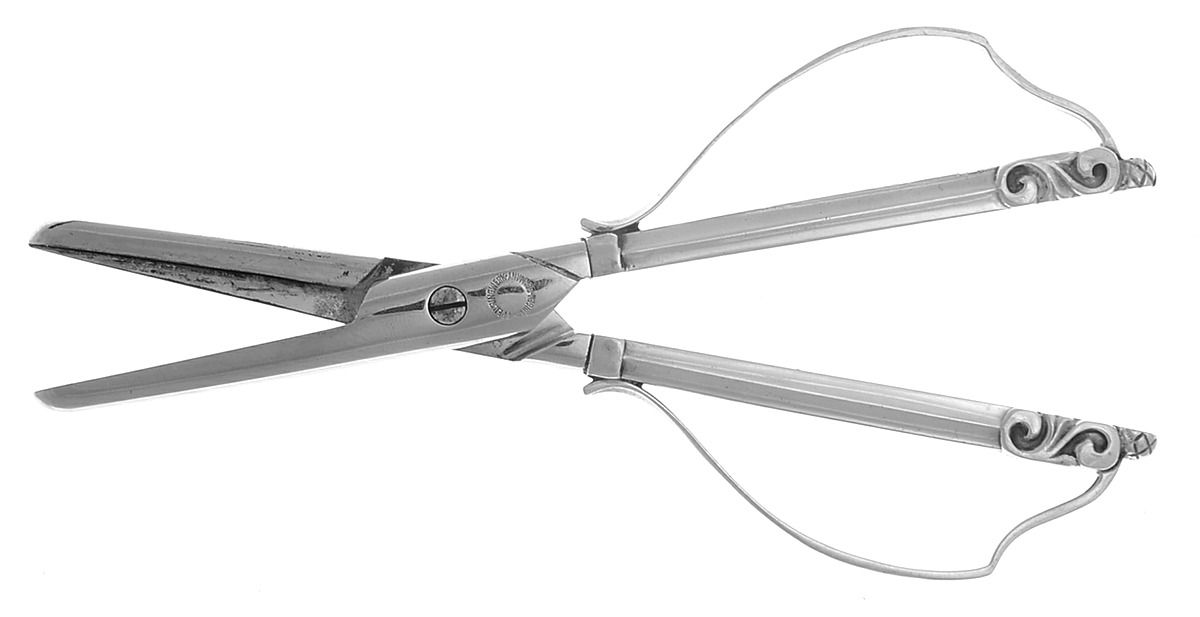 Acorn (Sterling, 1915) Grape Shears with Hollow Handle by Georg Jensen (Denmark)-1