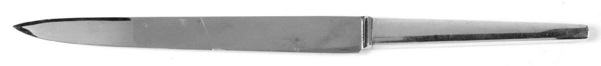 Argo (Sterling) Large Stainless Blade Roast Carving Knife by Georg Jensen (Denmark)-1