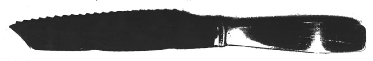 Plata (Stainless) Tomato Knife with Stainless Blade by Georg Jensen (Denmark)-1
