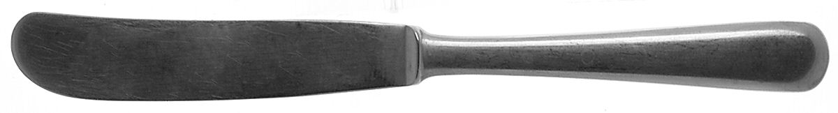 Thora (Stainless) Flat Handle Butter Spreader by Gense-1