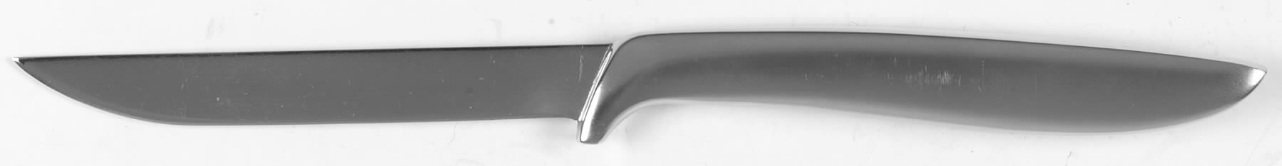 Presentation (Stainless) Individual Fruit Knife with Stainless Blade by Gerber-1