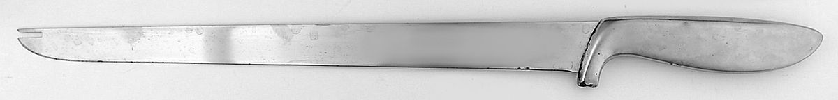 Presentation (Stainless) Ham Slicer Knife with Stainless Blade by Gerber-1