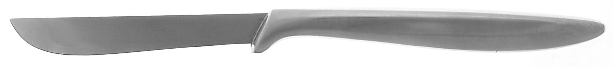 Presentation (Stainless) Individual Steak Knife Hollow Handle by Gerber-1