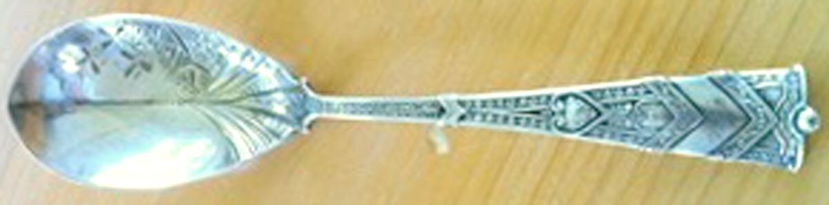 Amaryllis (Sterling, 1877) Bright Cut Preserve Spoon by George W Shiebler-1