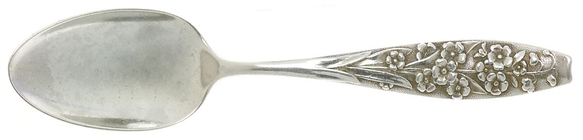 Flora (Sterling, 1887) Teaspoon by George W Shiebler-1