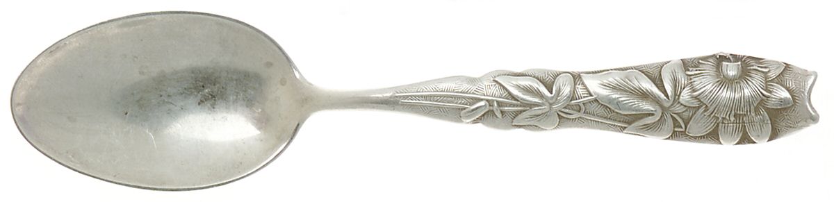Flora (Sterling, 1887) Teaspoon by George W Shiebler-1