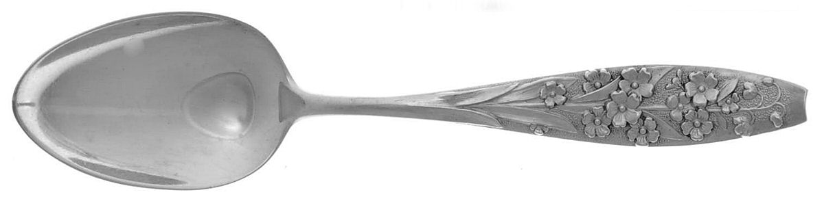 Flora (Sterling, 1887) Teaspoon by George W Shiebler-1
