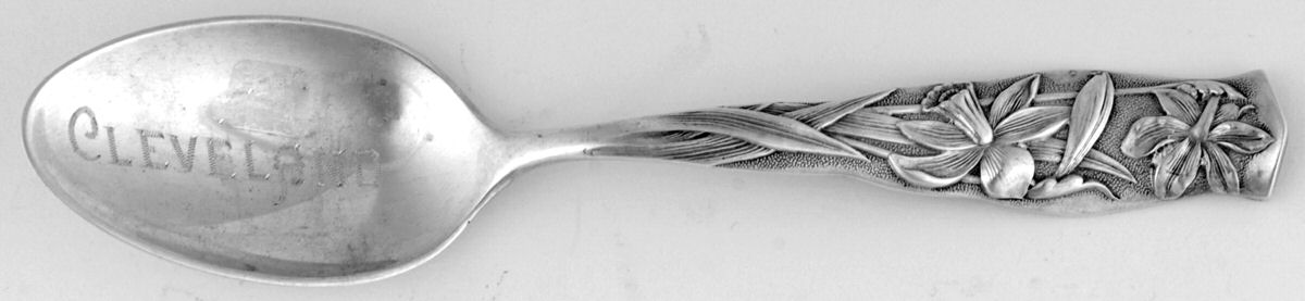 Flora (Sterling, 1887) Souvenir Spoon (Teaspoon) by George W Shiebler-1