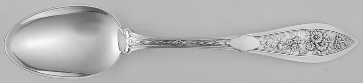 Montezuma (Sterling, 1879) Teaspoon by George W Shiebler-1