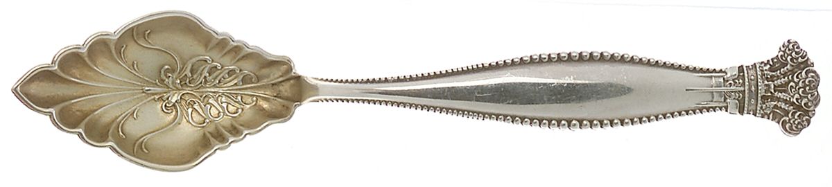 Sandringham (Sterling, 1895) Fruit/Orange Spoon by George W Shiebler-1