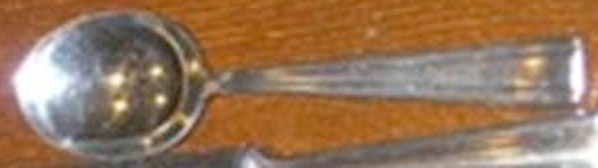 Princess (Stainless) Teaspoon by Gottlieb - Hammesfahr-1
