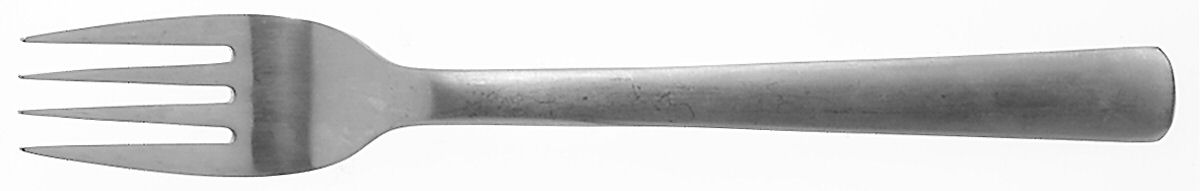 Merit (Stainless, Satin Finish) Individual Salad Fork by Ginkgo-1