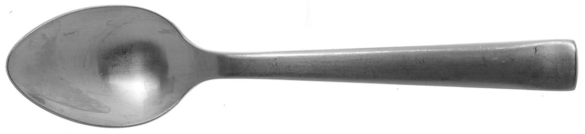 Merit (Stainless, Satin Finish) Teaspoon by Ginkgo-1