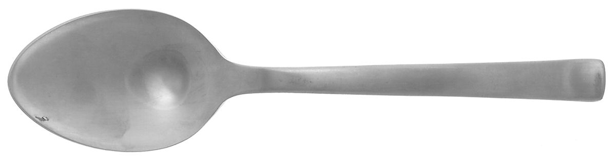 Merit (Stainless, Satin Finish) Large Solid Serving Spoon by Ginkgo-1
