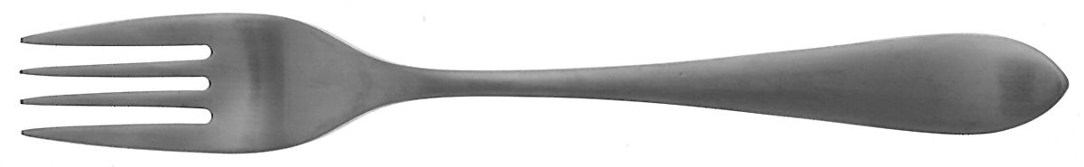 Meridian (Stainless, Glossy) European Salad Fork by Ginkgo-1