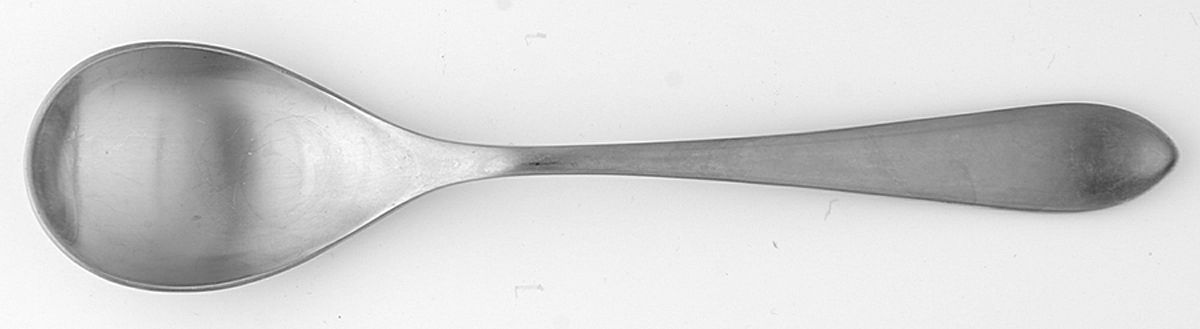 Meridian (Stainless, Glossy) Teaspoon by Ginkgo-1