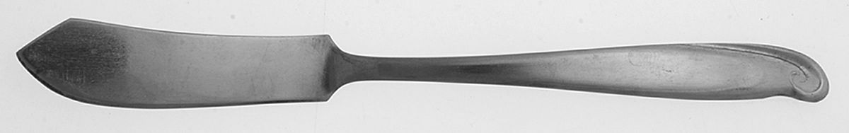 Caress (Stainless) Flat Handle Master Butter Knife by Gensico-1