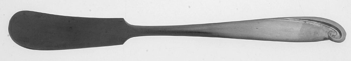 Caress (Stainless) Flat Handle Butter Spreader by Gensico-1
