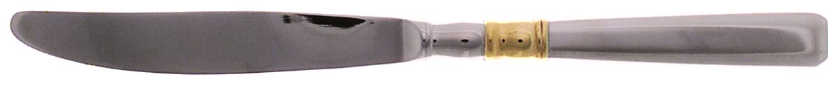 Ariana-Gold (Stainless, Gold Accent) Modern Hollow Knife by Gorham Silver-1