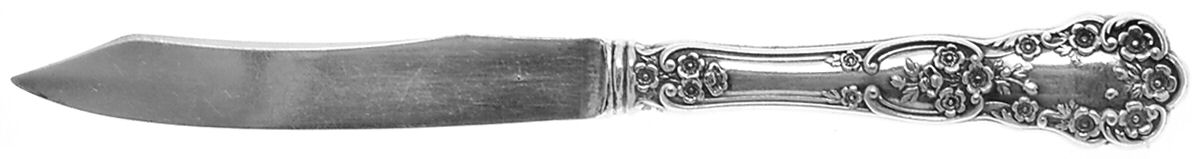 Buttercup (Sterling, Lion-Anchor-G, 1899, No Monos) Individual Fruit Knife with Silverplate Blade by Gorham Silver-1