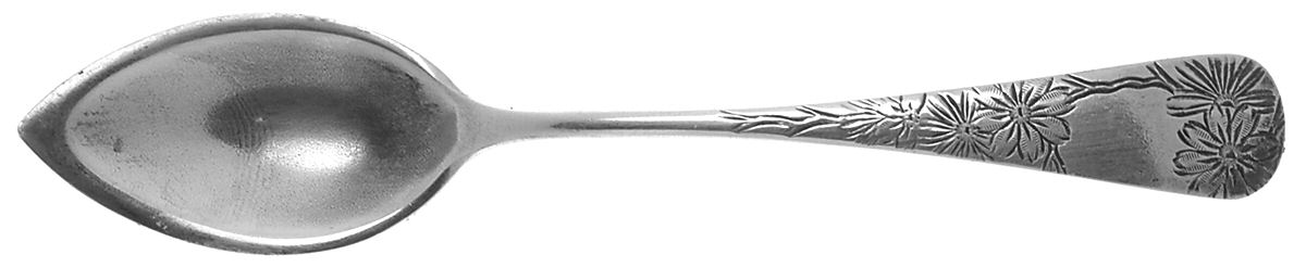 Chrysanthemum (Sterling, 1885) Fruit/Orange Spoon by Gorham Silver-1