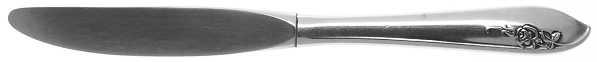 Coral Rose (Stainless) Modern Hollow Knife by Gorham Silver-1