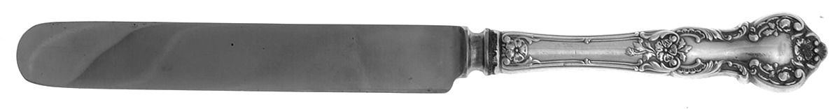 Fleury (Sterling, 1909, No Monograms) Solid Tea/Child Knife by Gorham Silver-1