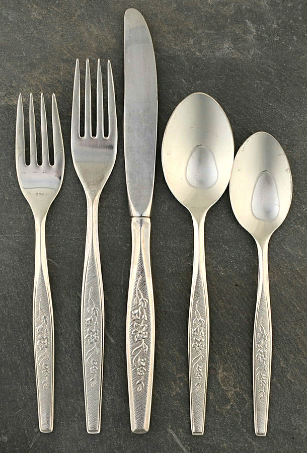 Flower Song (Stainless) 5 Piece Place Setting by Gorham Silver-1