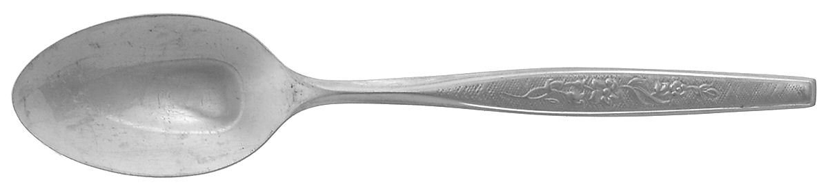 Flower Song (Stainless) Teaspoon by Gorham Silver-1