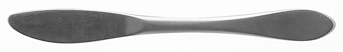 Georgetown-Old (Stainless) Flat Handle Butter Spreader by Gorham Silver-1
