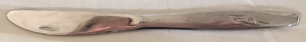 Jonquil (Stainless) Flat Handle Butter Spreader by Gorham Silver-1
