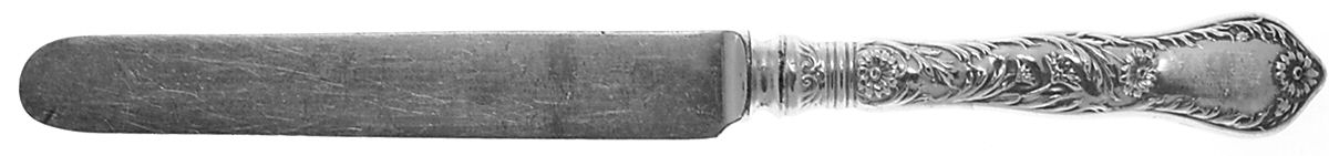 Marguerite (Sterling, 1901) Blunt Hollow Knife with Bolster by Gorham Silver-1