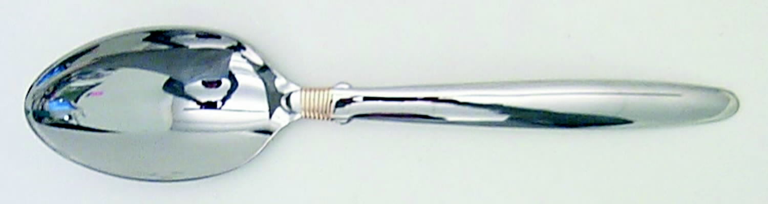 Narragansett Gold (Stainless, Gold Accent, Wings) Teaspoon by Gorham Silver-1