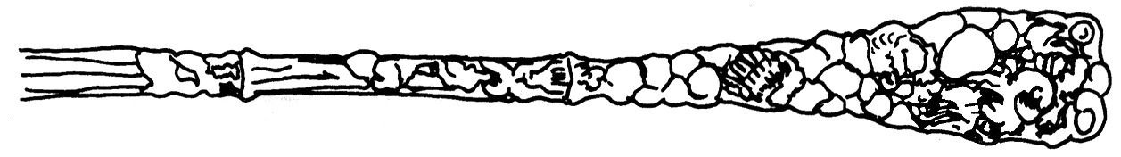 No. 14 (Sterling, 1885) Oyster Fork by Gorham Silver-1