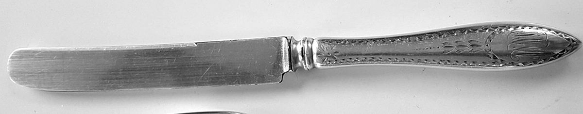 Old Newport (Sterling, 1875) Blunt Hollow Knife with Bolster by Gorham Silver-1