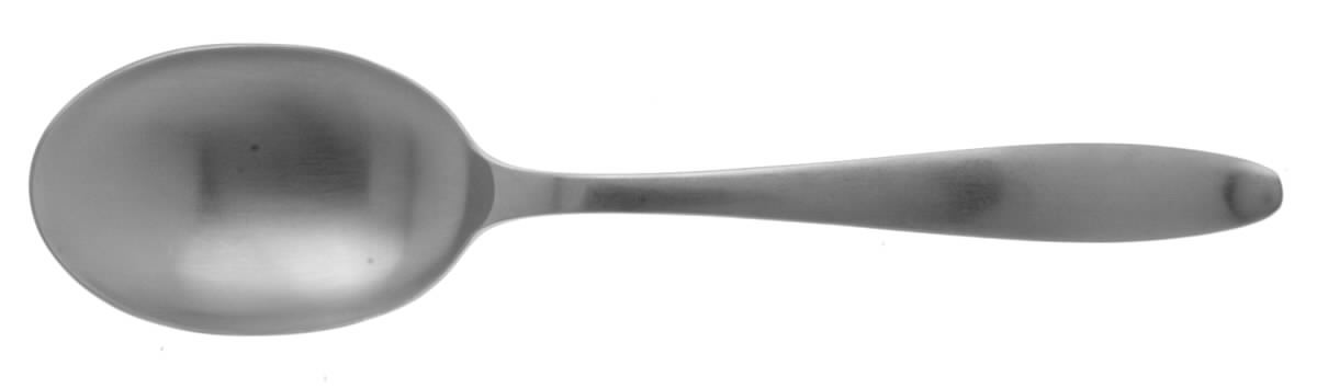 Pace (Stainless) Tablespoon (Serving Spoon) by Gorham Silver-1