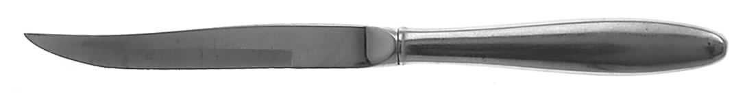 Pace (Stainless) Individual Steak Knife w/Bevel Blade by Gorham Silver-1