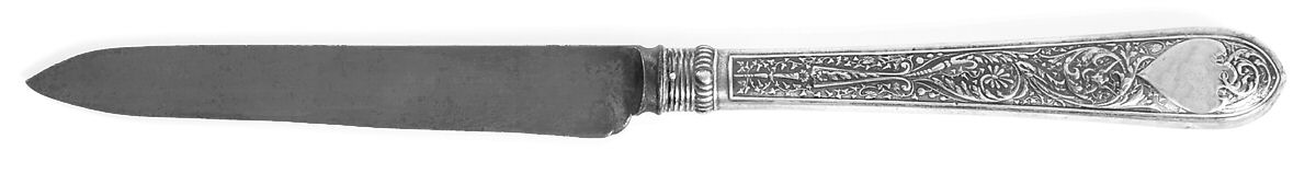 Raphael (Sterling, 1875) Large Stainless Blade Roast Carving Knife by Gorham Silver-1
