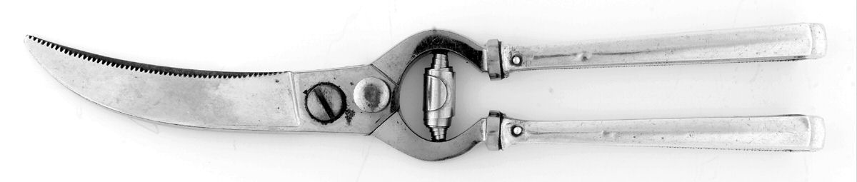 Roanoke (Sterling, 1913) Poultry Shears with Stainless Blades by Gorham Silver-1