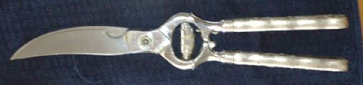 St. Cloud (Sterling, 1885) Poultry Shears with Stainless Blades by Gorham Silver-1