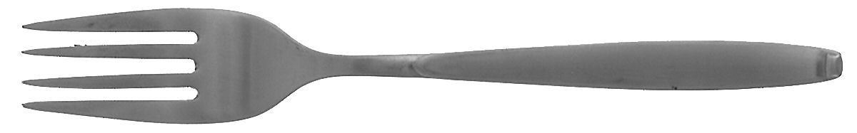 Tanglewood (Stainless) Individual Salad Fork by Gorham Silver-1