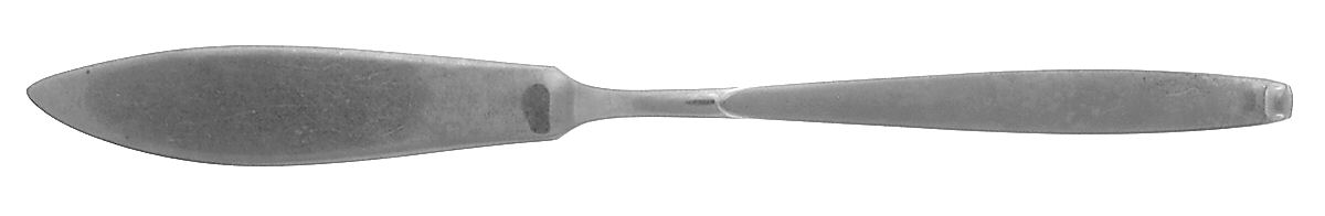 Tanglewood (Stainless) Flat Handle Master Butter Knife by Gorham Silver-1