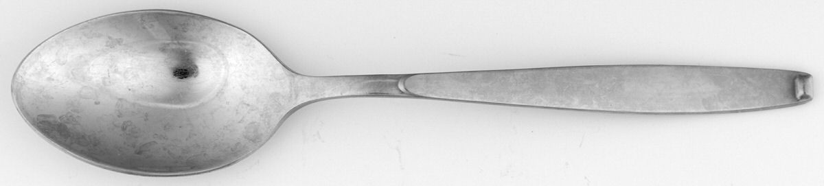 Tanglewood (Stainless) Place/Oval Soup Spoon by Gorham Silver-1